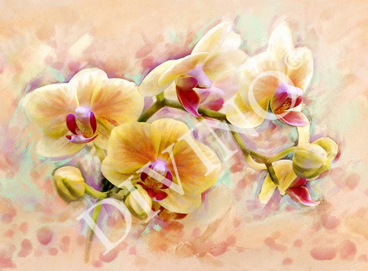 Фотообои Орхидея живопись C-300 (2,0х1,47 м), Дивино Декор 1