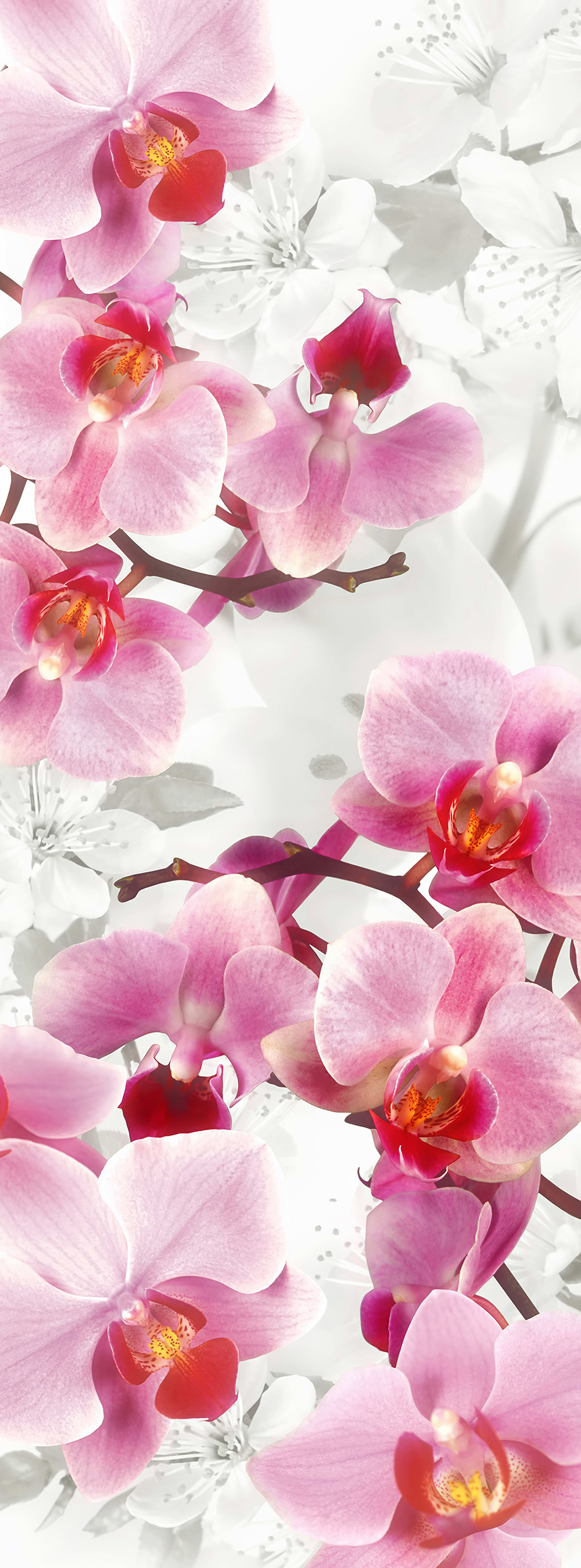 Фотообои Орхидея H-040 (1,0х2,7 м), Дивино Декор 1