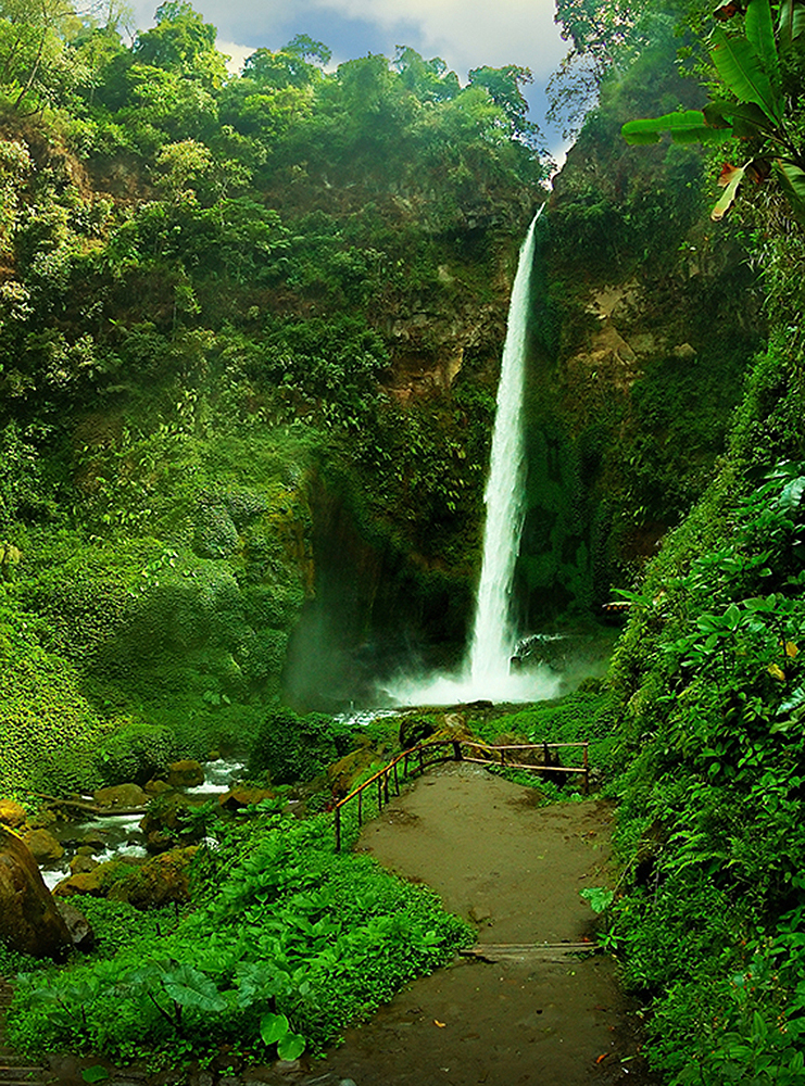 Фотообои Тропический водопад С-018 (2,0х2,7 м), Дивино Декор 1
