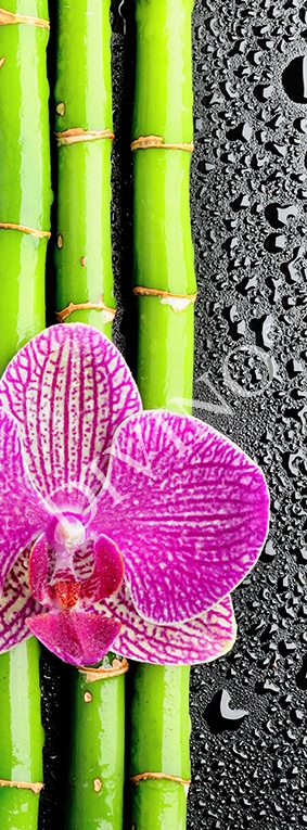 Фотообои Орхидея и бамбук C-286 (1,0х2,7 м), Дивино Декор 1