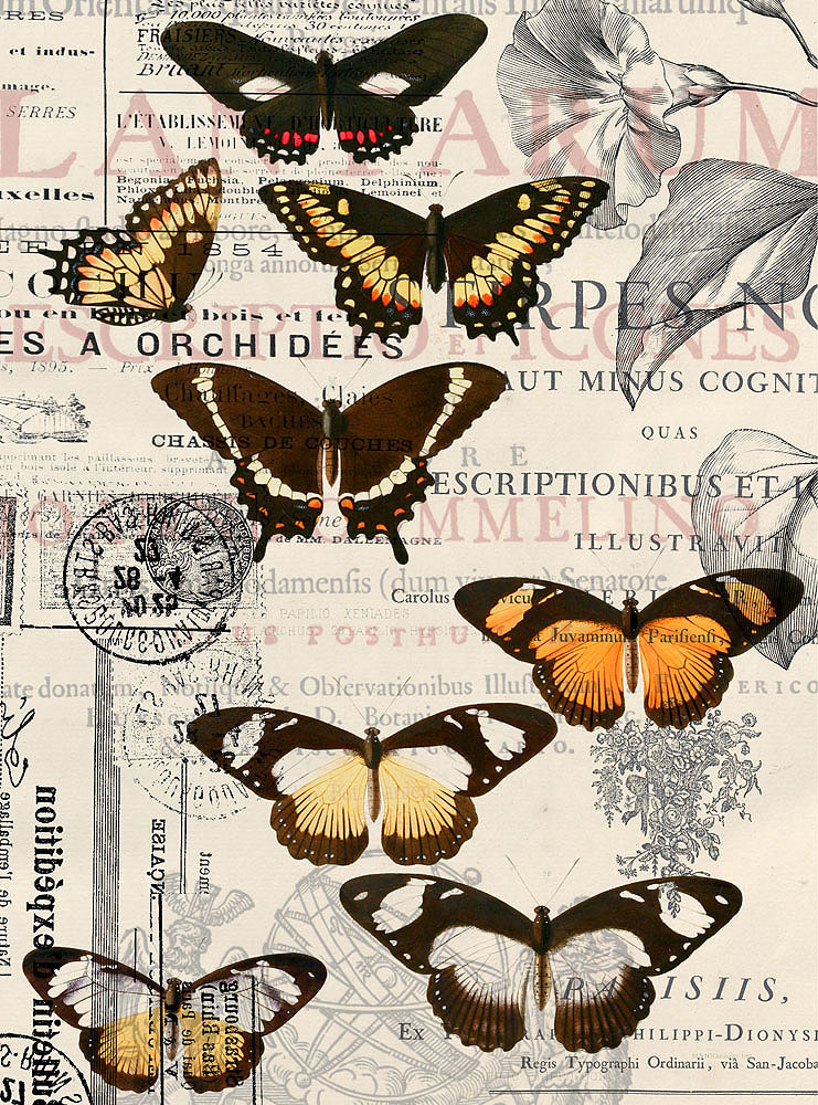 Фотообои Бабочки Е-044 (2,0х2,7 м), Дивино Декор 1
