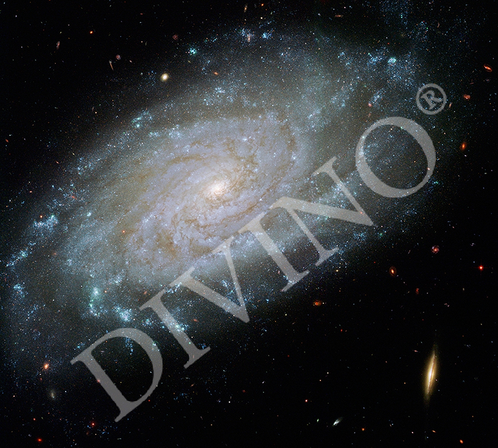 Фотообои Галактика C-123 (3,0х2,7 м), Дивино Декор 1