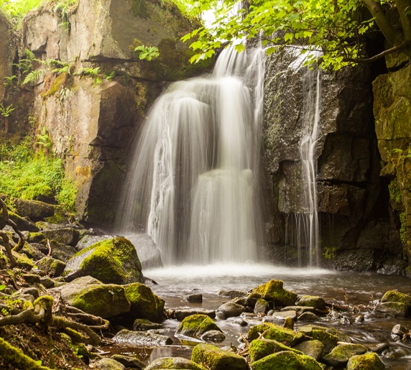Фотообои Водопад в реликтовом лесу B-092 (3,0х2,7 м), Дивино Декор 1