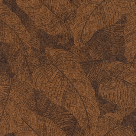 ���� Amara 720563, Rasch, �����-�������� 1
