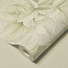  Shifon  WALL UP,   2