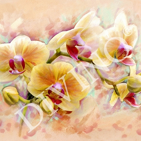 Фотообои Орхидея живопись C-300 (2,0х1,47 м), Дивино Декор