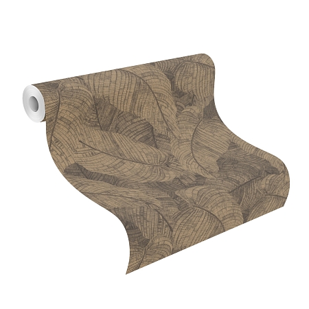 ���� Amara 720570, Rasch, �����-�������� 4