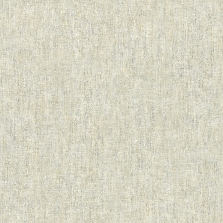 ���� Axiom 917048, Rasch, �����-�������� 1