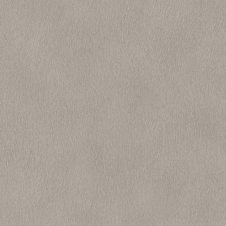 ���� African Queen 3 751062, Rasch, �����-�������� 1
