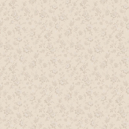 ���� Basic 60094-02, Erismann, �����-�������� 1