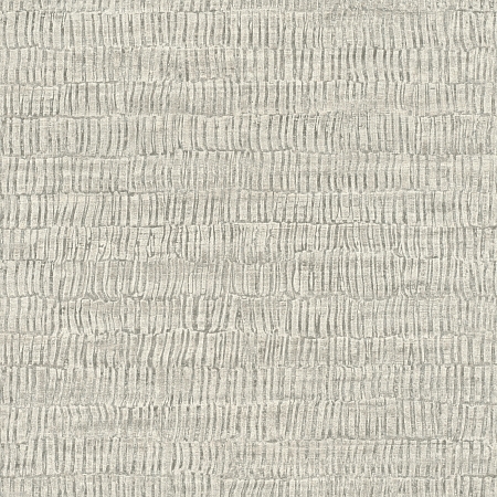 ���� Amara 720617, Rasch, �����-�������� 1