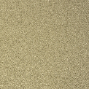 Color 4060-100