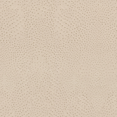 ���� African Queen 3 751512, Rasch, �����-�������� 1
