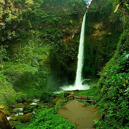 Фотообои Тропический водопад С-018 (2,0х2,7 м), Дивино Декор 1