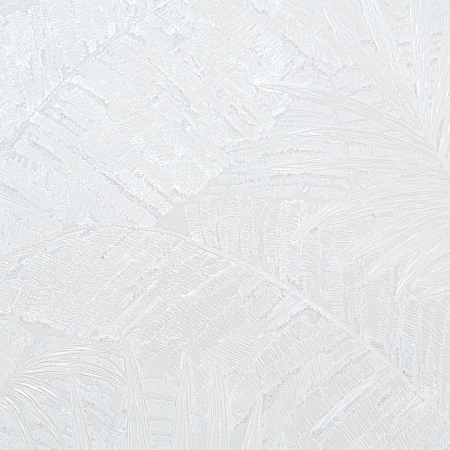 ���� Absolute II AR11270-01, ������, �����-�������� 5