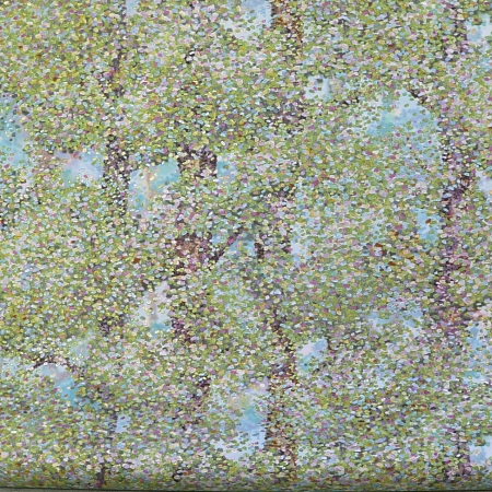 ���� ������� �800507, �������, �����-�������� 5