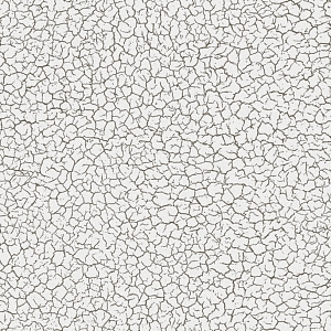  E500304