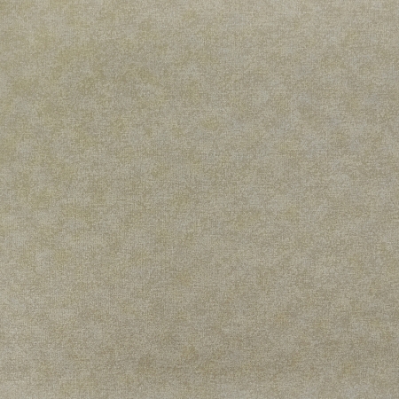���� ������� E89501, �������, �����-�������� 1