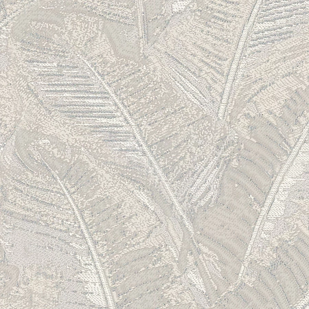 ���� Fern 9193-01, Monte Solaro, �����-�������� 1