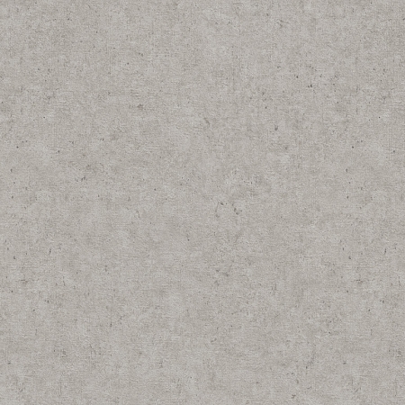 ���� Concrete XL 974249, Rasch, �����-�������� 1