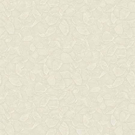 ���� Fuksas Z54501, Zambaiti Parati, �����-�������� 1
