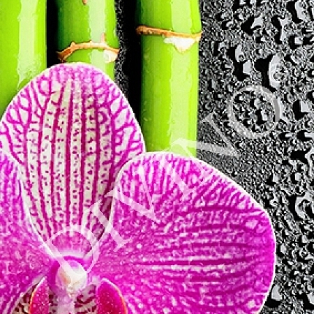 Фотообои Орхидея и бамбук C-286 (1,0х2,7 м), Дивино Декор