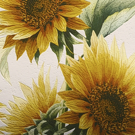 ���� ���������� 900701, �������, �����-������ 2