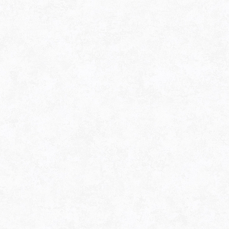 ���� Anika 6189-1, Erismann, �����-�������� 1