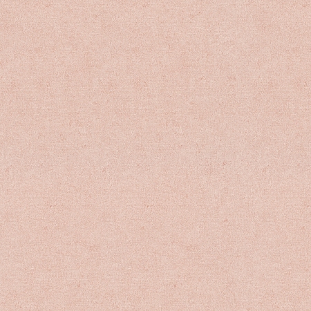 ���� Gentle ER12207-23, Erismann, �����-�������� 6