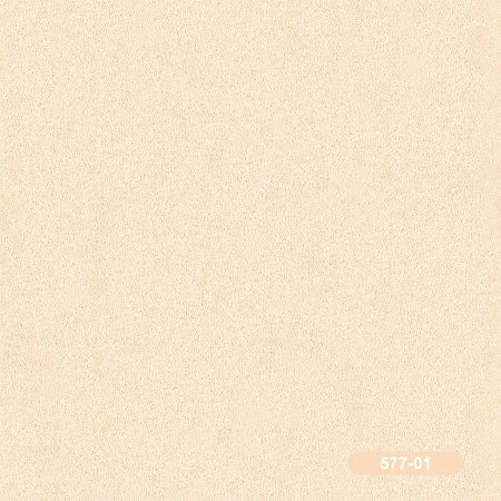 �������� ���� ����� 577-01, �������� ���� 1