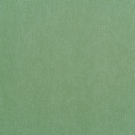 ���� Forest  AR11248-03, ������, �����-�������� 6