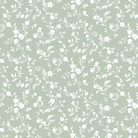 ���� Monica 60938-05, Erismann, �����-�������� 1