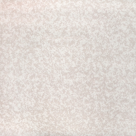 ���� Fiori E103501, �������, �����-�������� 2