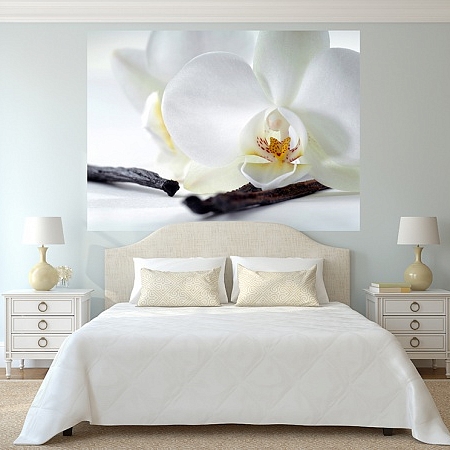 Фотообои Белая орхидея  В1-321 (2,0х1,47 м), Дивино Декор