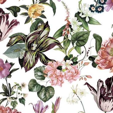 ���� Flora 47458, Marburg, �����-�������� 1