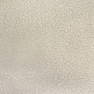  E500301