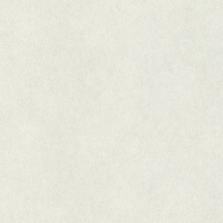 ���� Wall Textures 957303, Rasch, �����-�������� 2