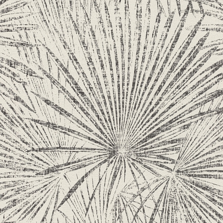 ���� Lirico 555738, Rasch, �����-�������� 1