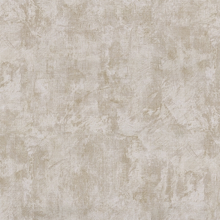 ���� Monte Rosa 80662, Prima Italiana, �����-�������� 1
