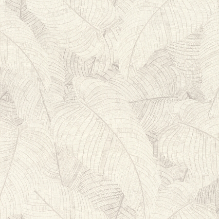 ���� Amara 720525, Rasch, �����-�������� 1