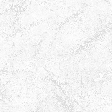 ���� Arte Bella 80312, Prima Italiana, �����-�������� 1