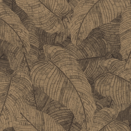 ���� Amara 720570, Rasch, �����-�������� 1