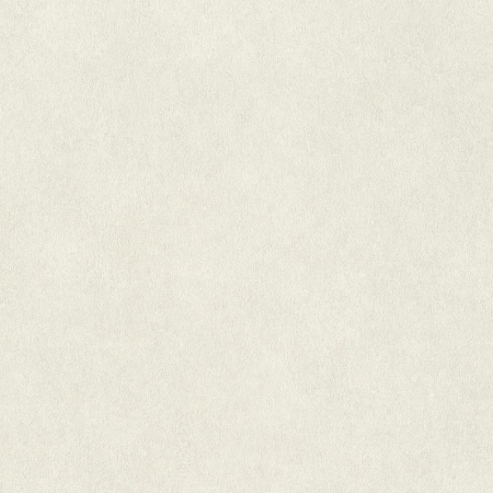 ���� Wall Textures 957327, Rasch, �����-�������� 1