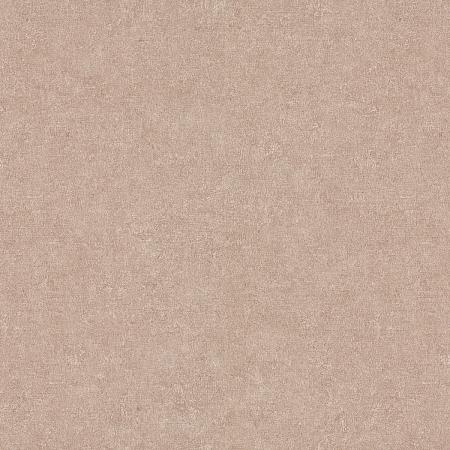 ���� Gentle ER12207-25, Erismann, �����-�������� 6