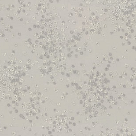 ���� ����� 7282-11, Euro Decor, �����-�������� 5