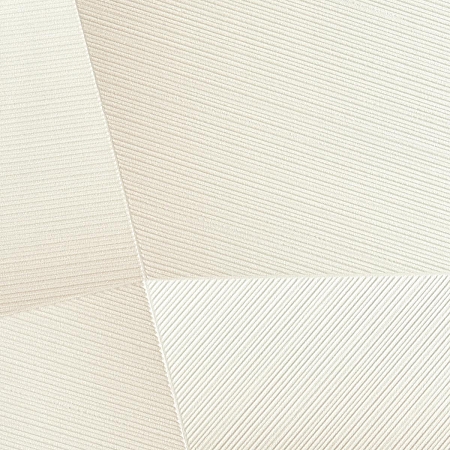 ���� Fiori 79205-5, AS Creation, �����-�������� 2