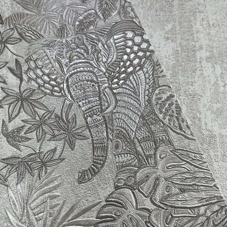���� Provasi 2501-1, Alessandro Allori, �����-�������� 7