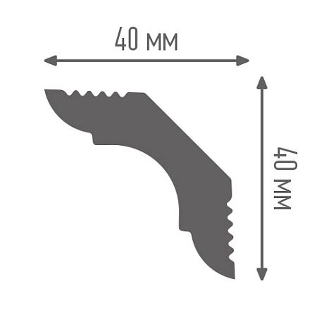     40/40,  2