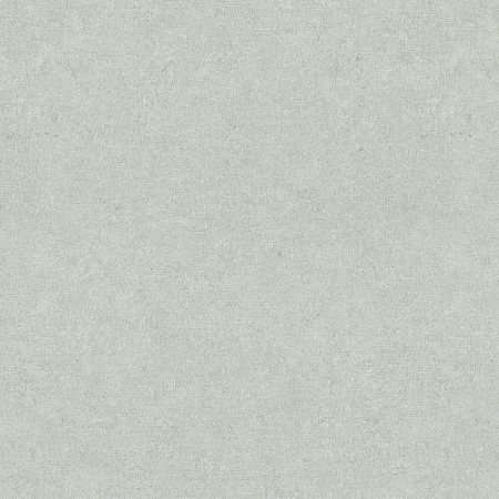 ���� Gentle ER12207-24, Erismann, �����-�������� 1