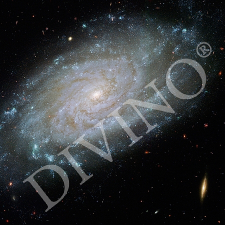Фотообои Галактика C-123 (3,0х2,7 м), Дивино Декор